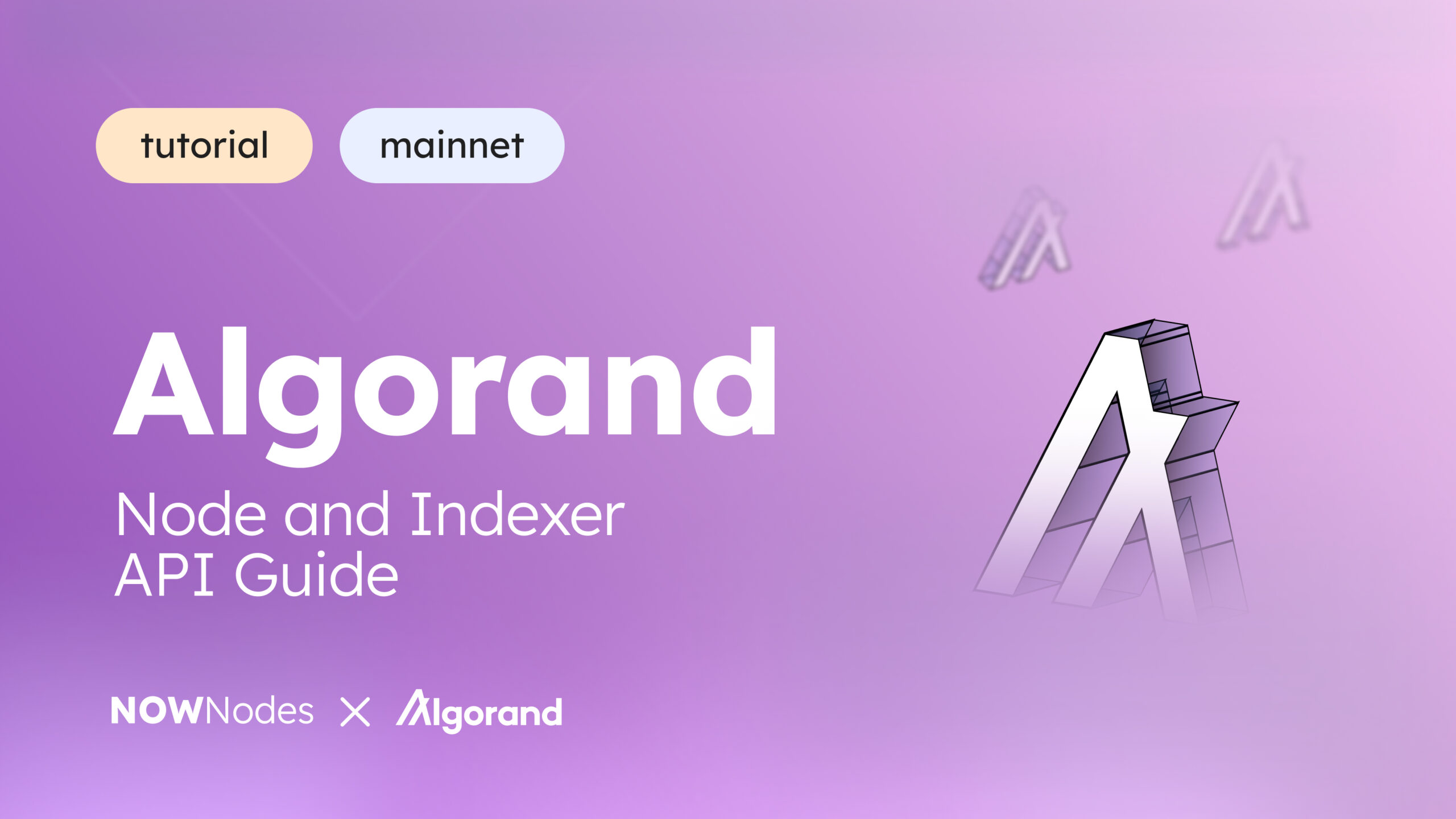 Algorand Node and Indexer API Guide