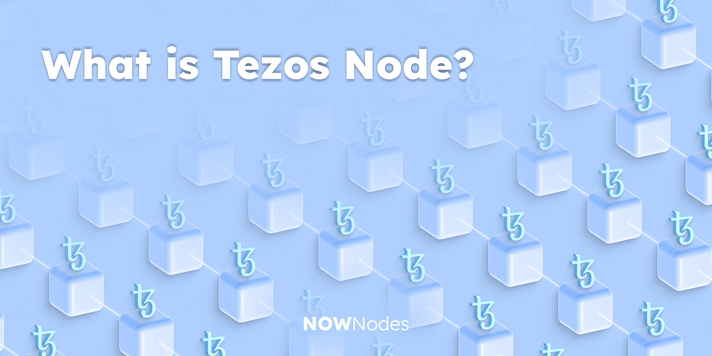 What is a Tezos Node?