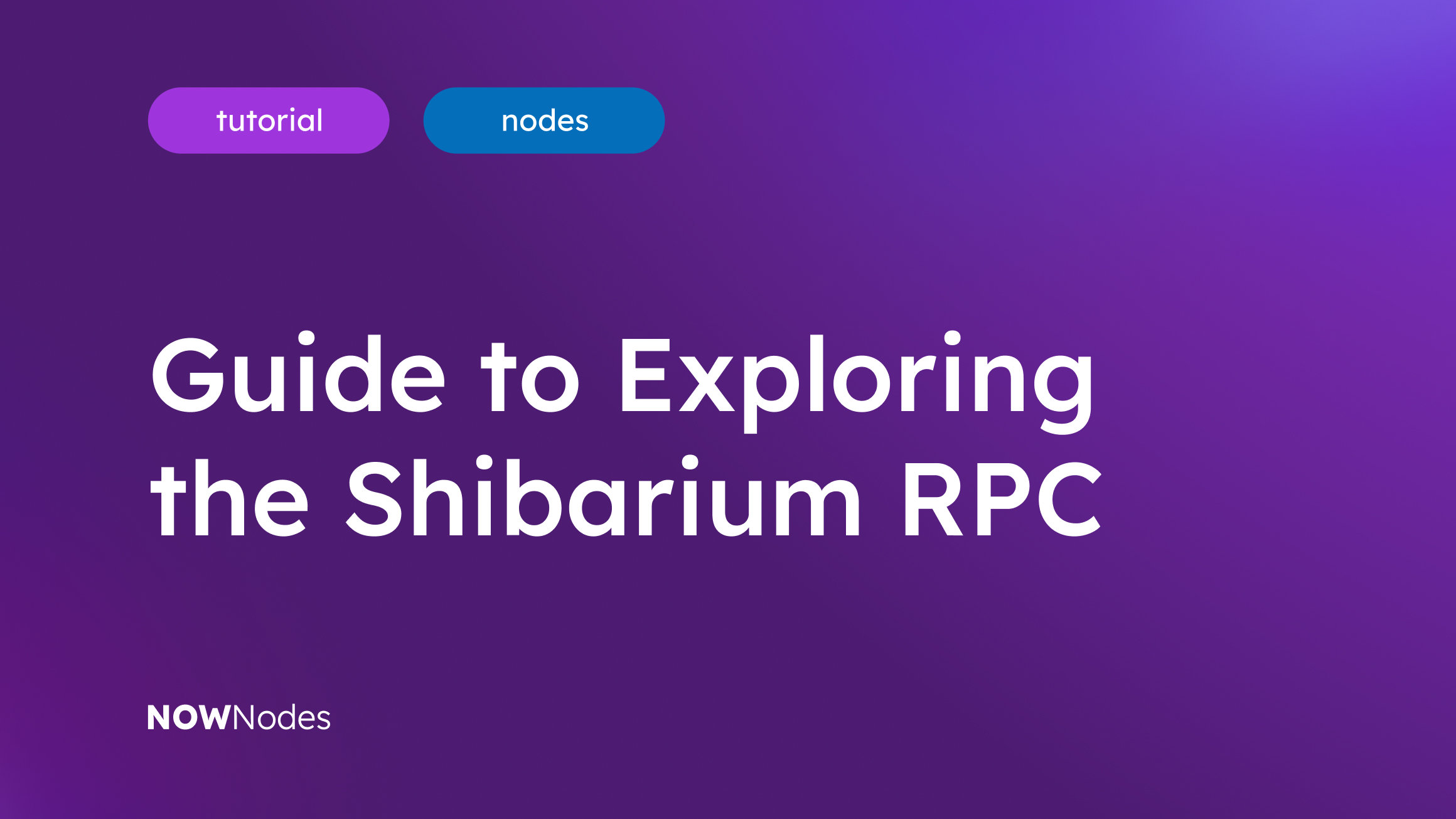 Guide to Exploring the Shibarium RPC