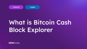 What is Bitcoin Cash Block Explorer?