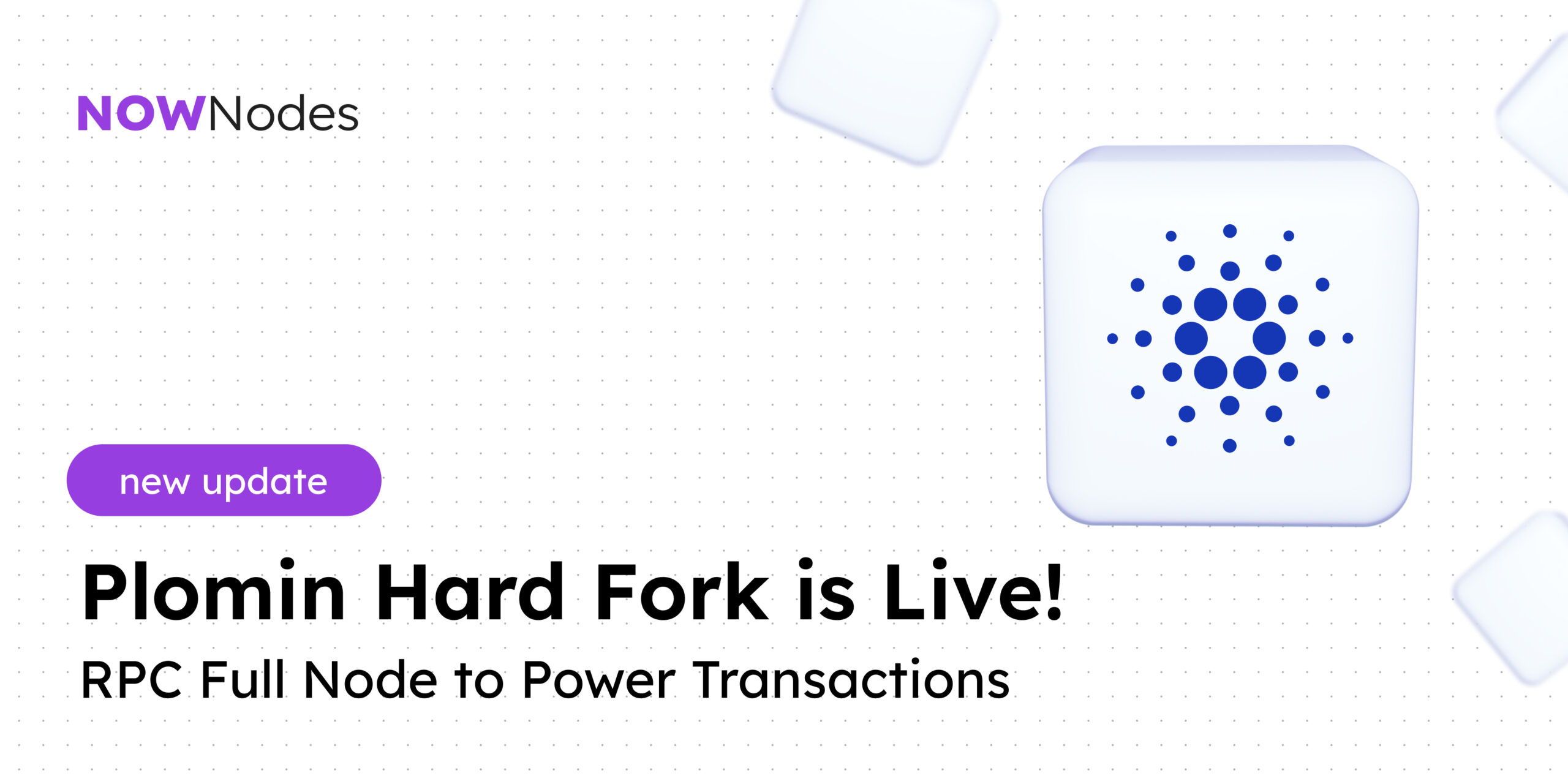 Plomin hard fork