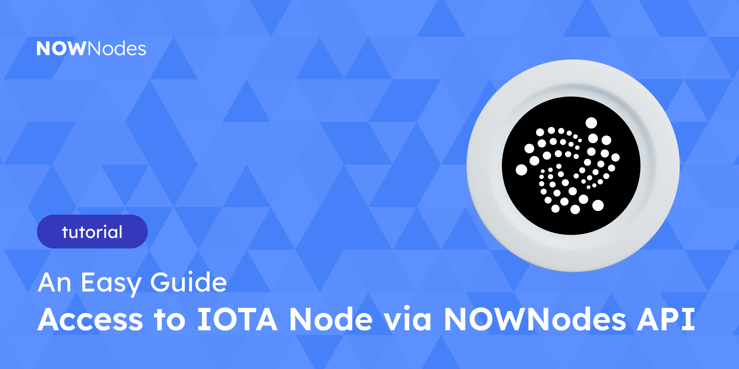 IOTA nodes