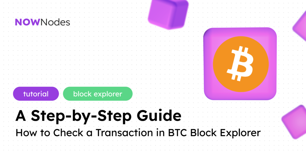 Btc Transaction Guide How to Check a Transaction in BTC Block Explorer