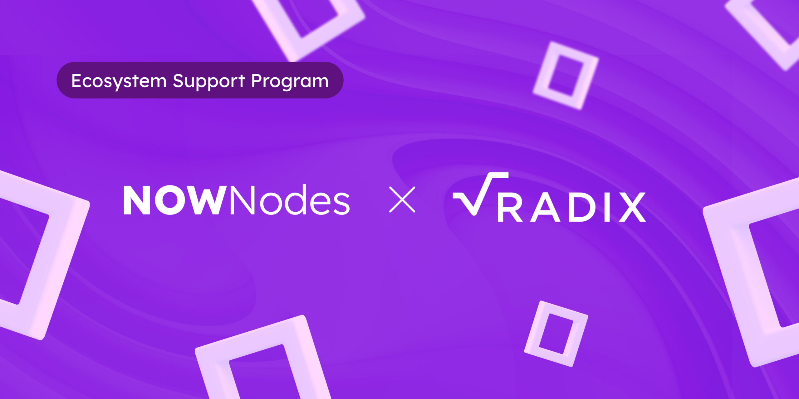 Radix Ecosystem Support Program