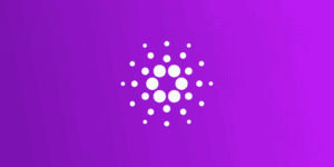 What is Cardano