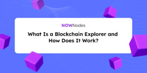 block explorer NOWNodes